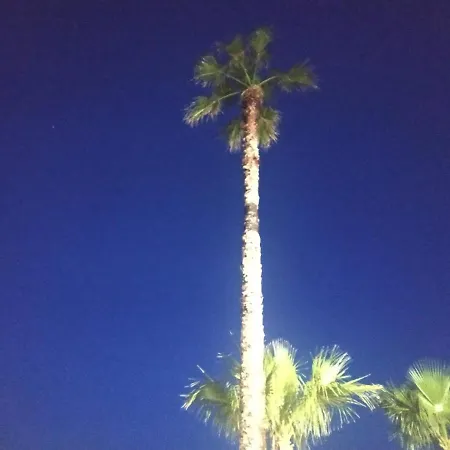 House Ben Couette-café Punta Prosciutto