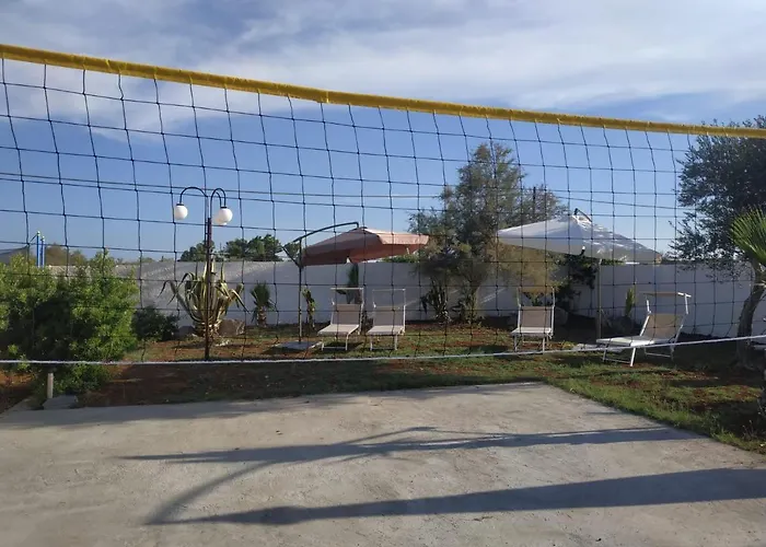 House Ben Punta Prosciutto